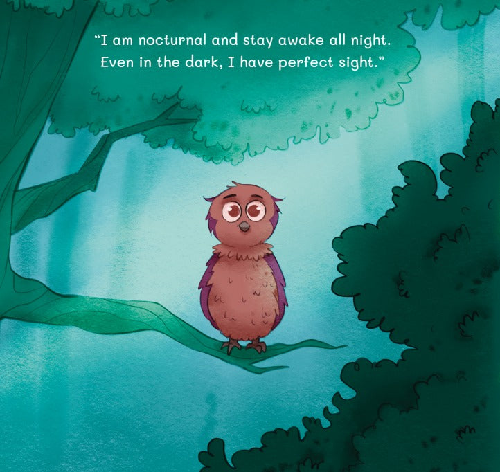 Livre « Laxmi's Diwali Dream Team »